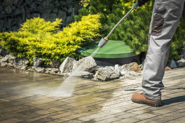 Best Spring Cleaning  in Coalinga, CA